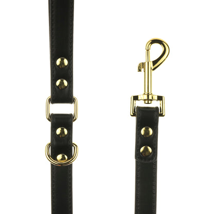 Black Dog Leash