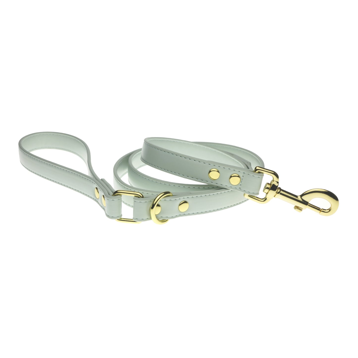 Mint Dog Leash