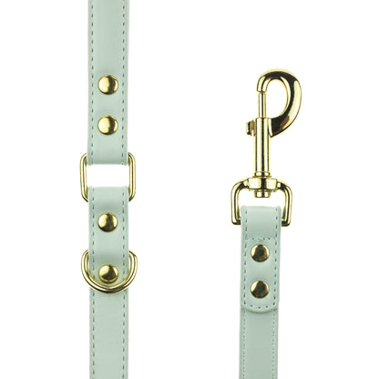 Mint Dog Leash