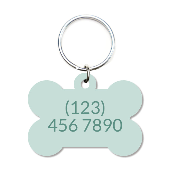 Solid Mint Pet ID Tag